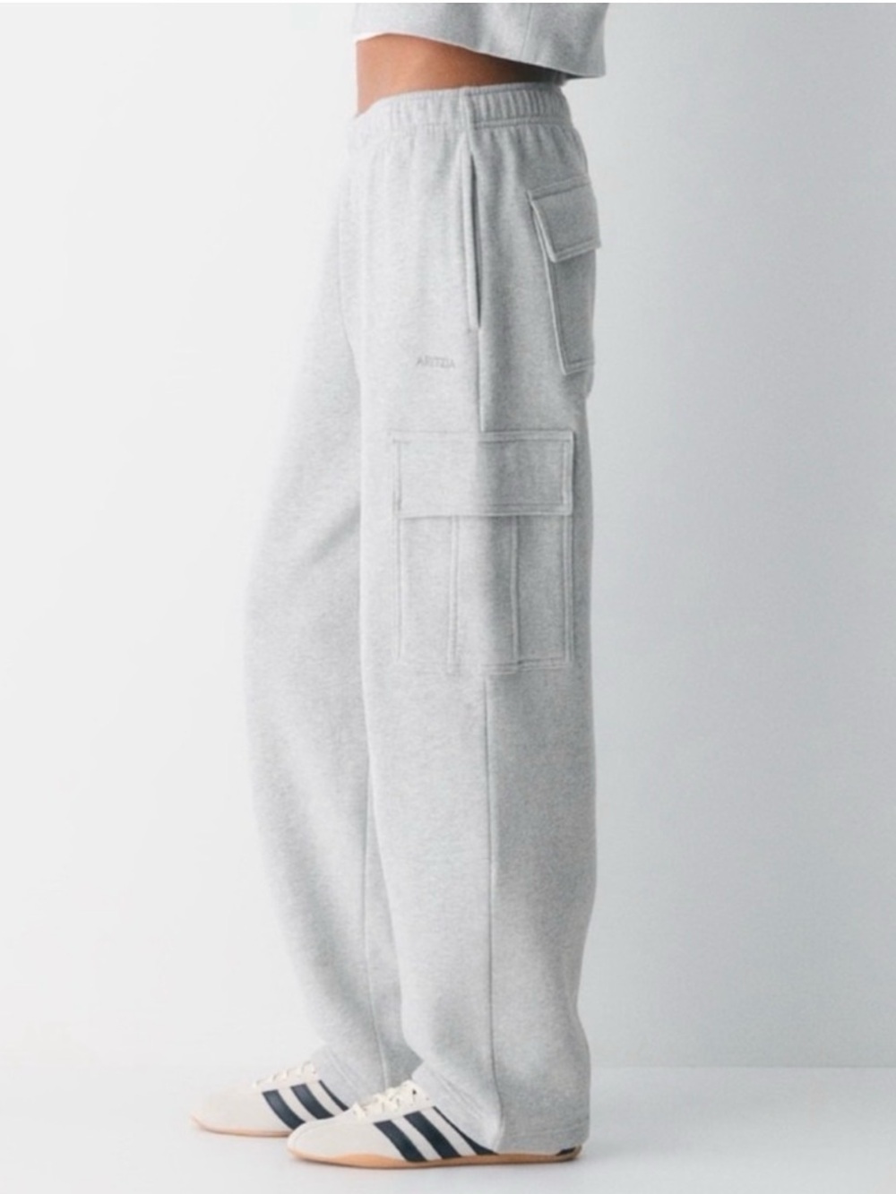 Aritzia Sweatfleece Cozy Fleece Mega Fit Cargo Sweatpants Sz 2XS Short